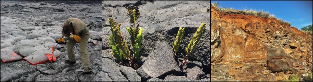 Rock to soil