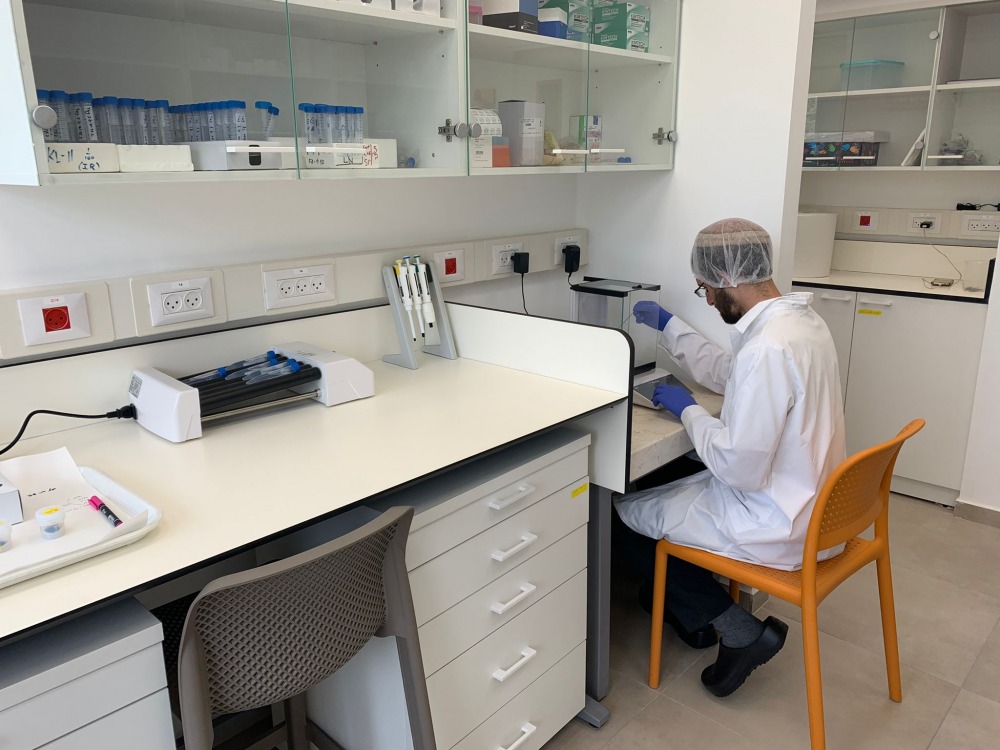 lab_NF
