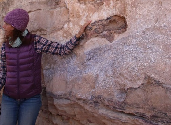 2021 Field trip to Makhtesh Ramon