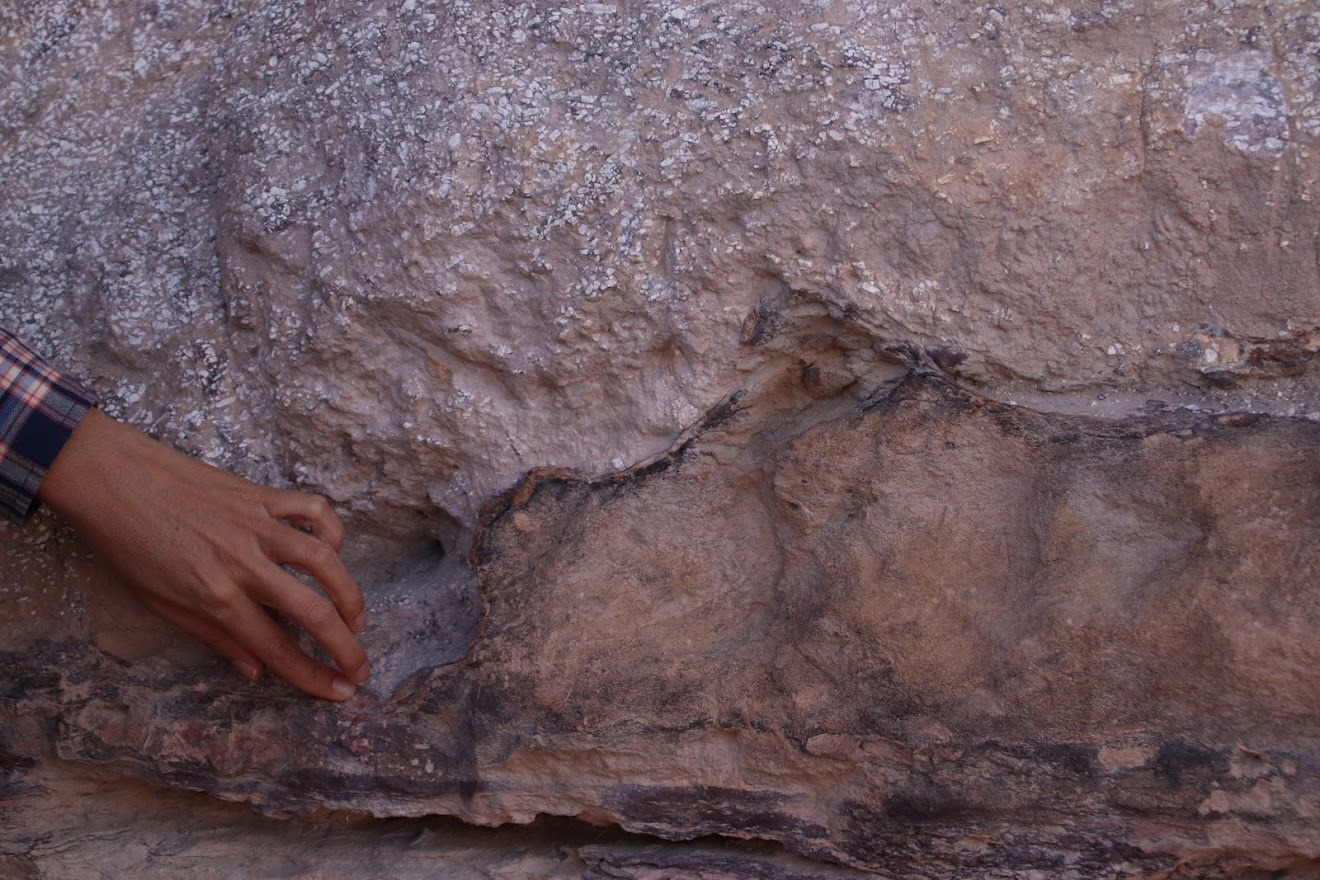2021 Field trip to Makhtesh Ramon